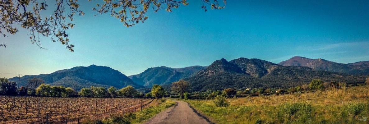 Paysage des Pyrénées-Orientales, massif des Albères
